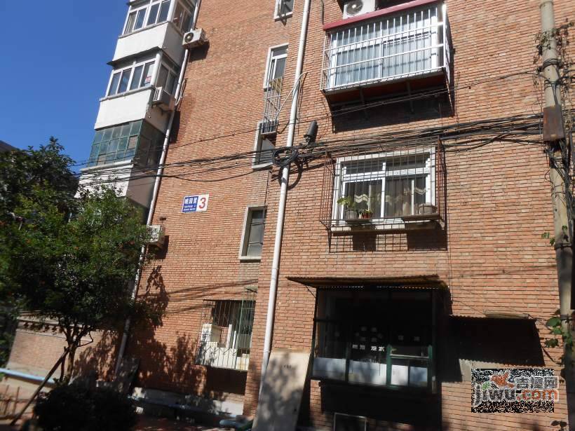 眺园里实景图图片