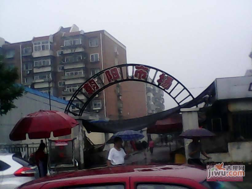 朝阳绿茵实景图图片