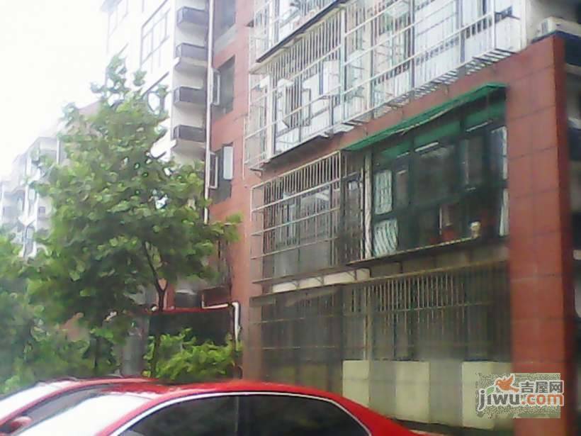 朝阳绿茵实景图图片