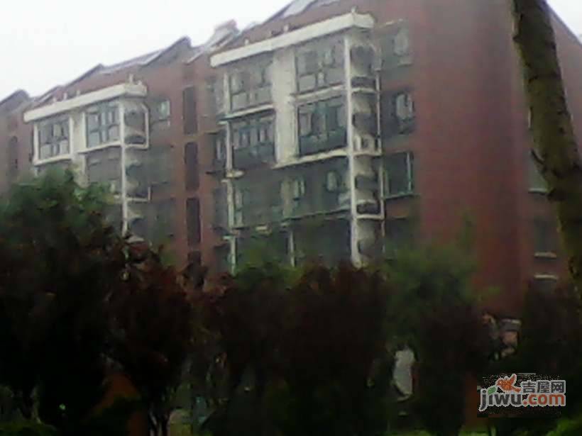 朝阳绿茵实景图图片