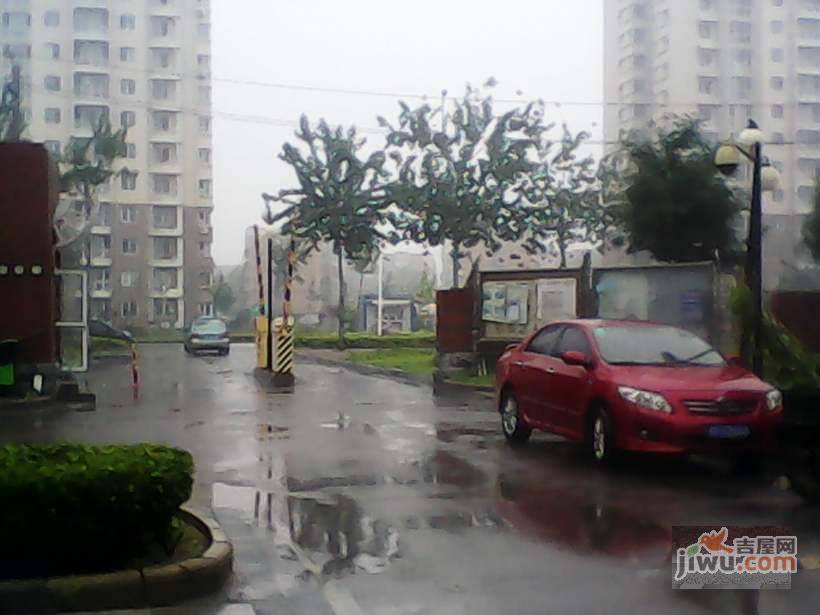朝阳绿茵实景图图片