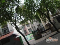 广州海运集团明月住宅小区实景图图片