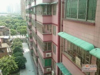 茶滘公寓实景图图片