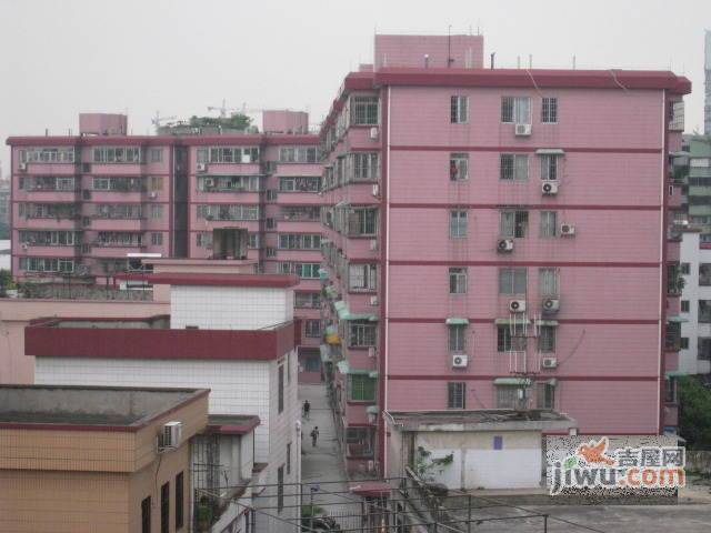 茶滘公寓实景图图片