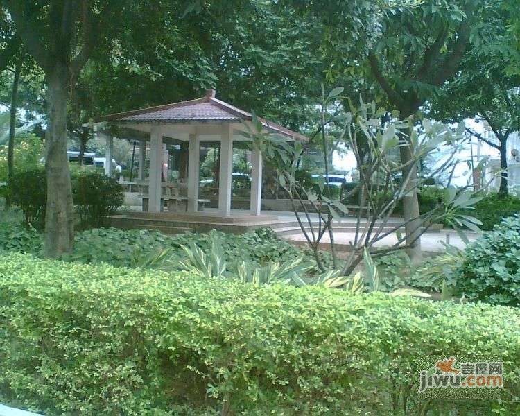 天隆花园实景图图片