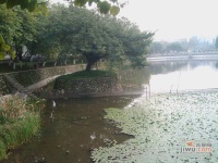 石井张村实景图图片