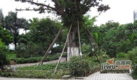 望江花园实景图图片