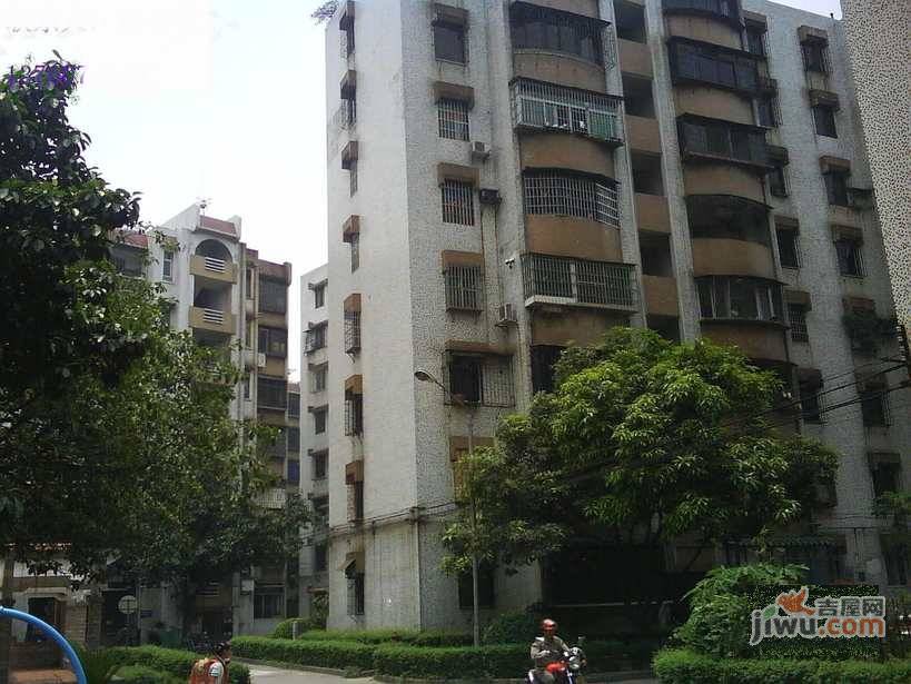 侨园实景图图片
