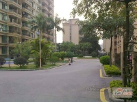 景雅轩实景图图片
