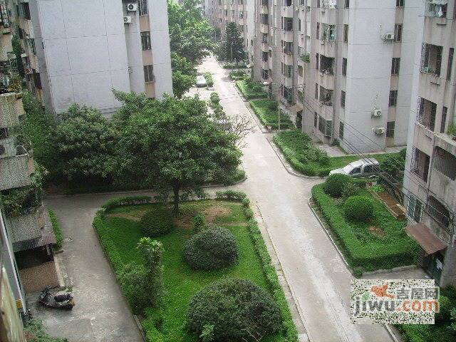 如意二马路小区实景图图片