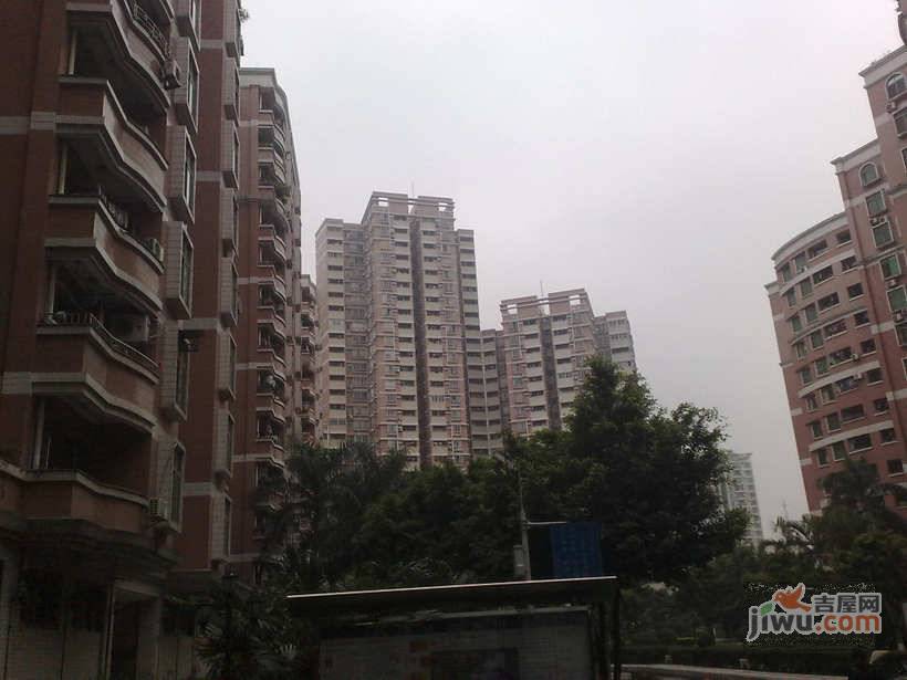 富华楼实景图图片