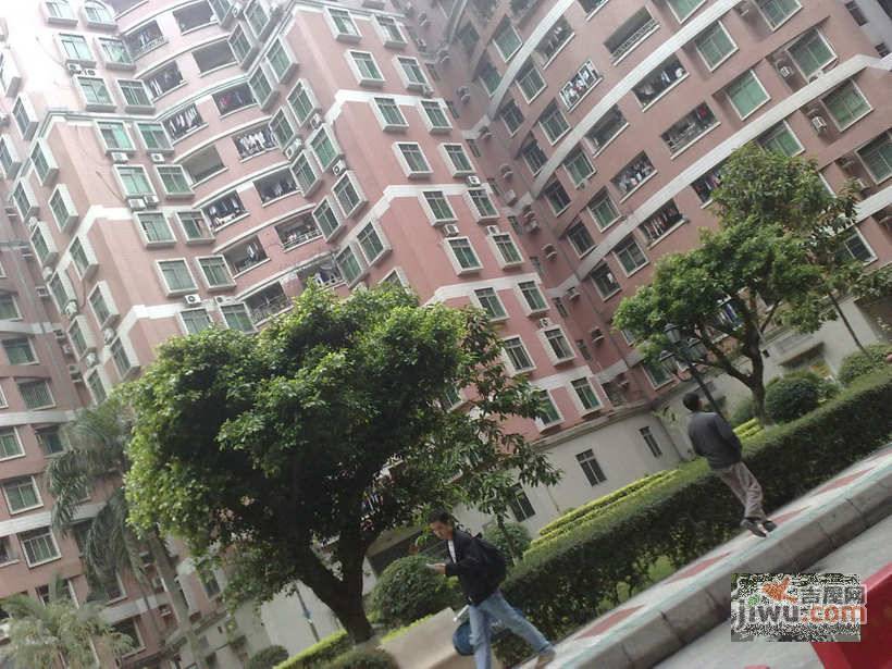 富华楼实景图图片