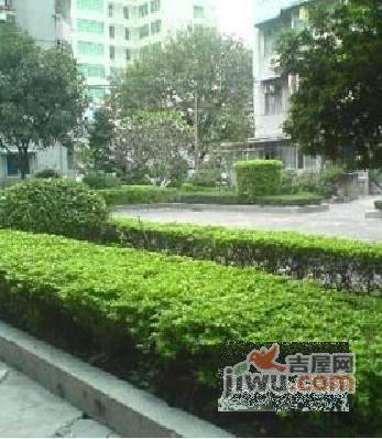 华景新城晓景楼实景图图片