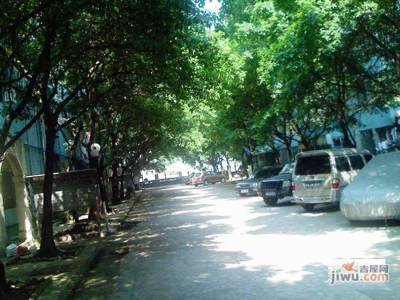 华景新城晓景楼实景图图片