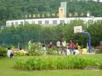 华南新城碧湖居实景图图片