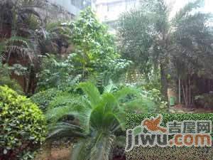 海印花园实景图图片
