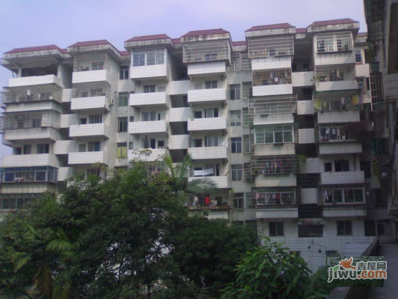 荔苑公寓实景图图片