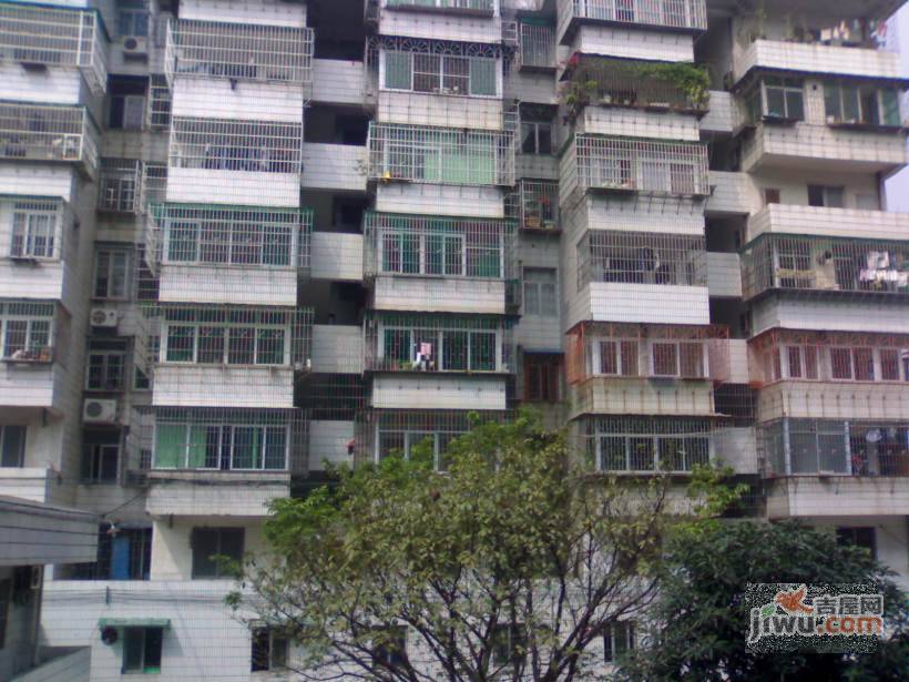 荔苑公寓实景图图片