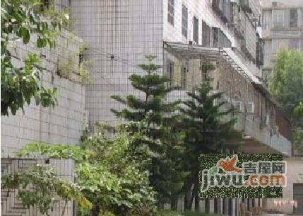 荔苑公寓实景图图片