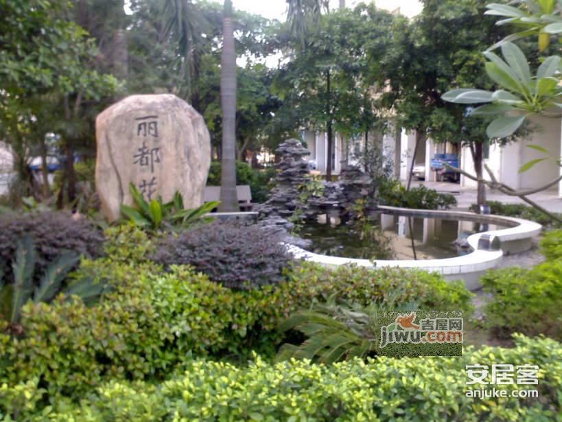 丽都花园实景图图片