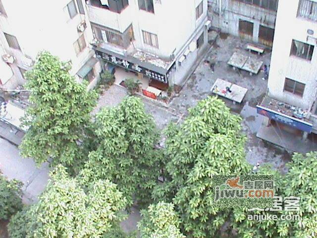 泰然楼实景图图片