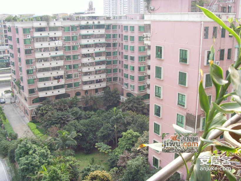 泰然楼实景图图片