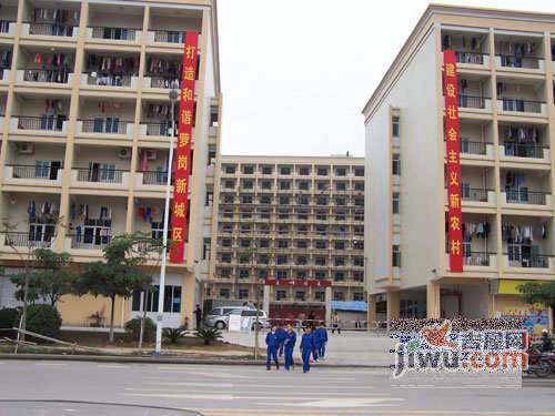 广州保税区员工楼实景图图片