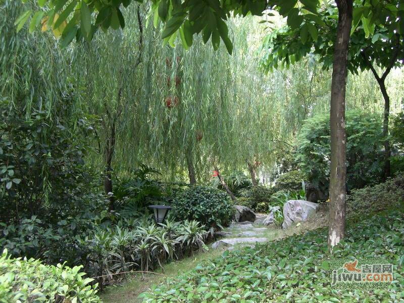 景云路小区实景图图片