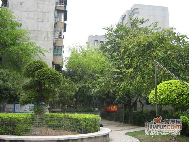 东园小区实景图图片