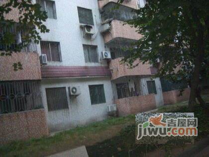穗东花园实景图图片