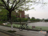 华南理工大学凤凰新村小区实景图图片