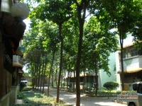 广信白兰花园实景图图片