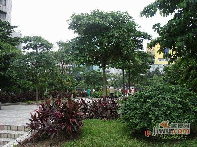 荔湾路小区实景图图片