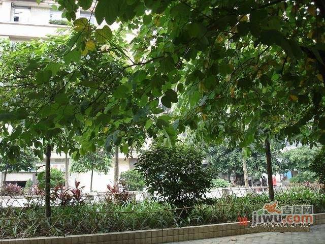 荔湾路小区实景图图片
