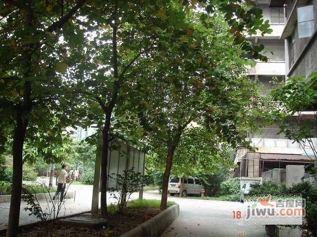 荔湾路小区实景图图片