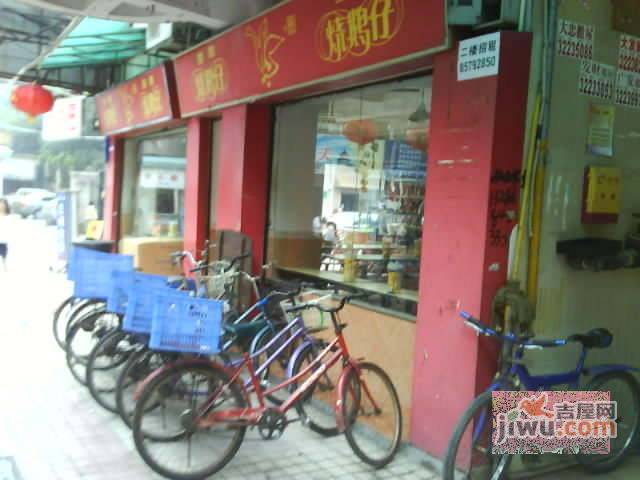 翠竹苑实景图图片