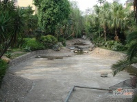 丽江花园棕榈滩实景图4