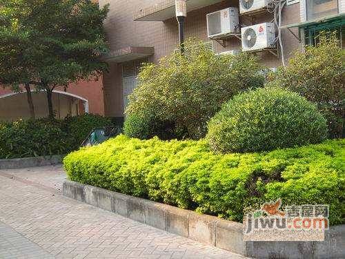 华港花园豪情湾实景图图片