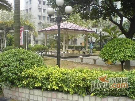 花都紫荆苑实景图图片