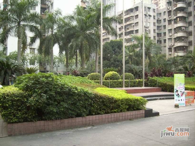 花都紫荆苑实景图图片