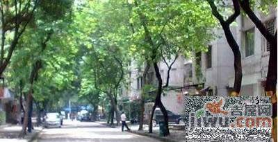 江南西路小区实景图图片