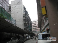 莲塘街实景图图片