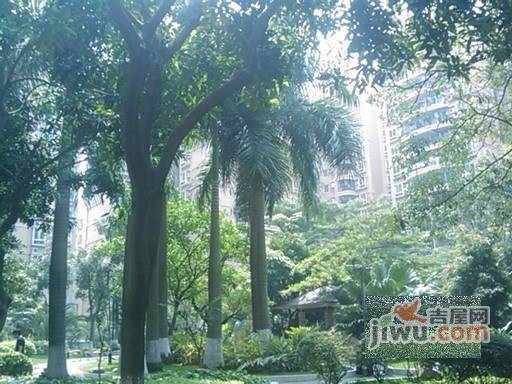 花季小区实景图图片
