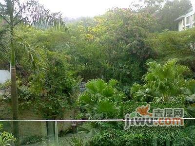 花季小区实景图图片