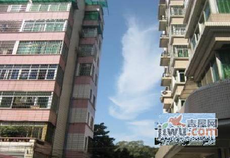 书香庭实景图图片