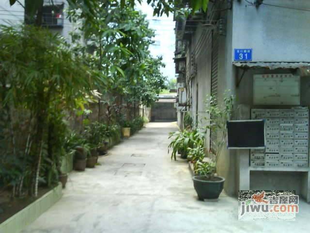 龙口东路住宅区实景图图片