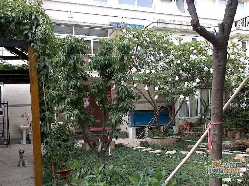 鑫润花园实景图图片
