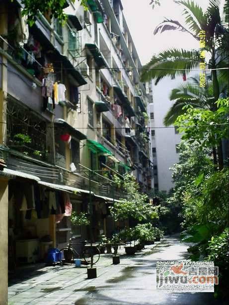 建设新村实景图图片