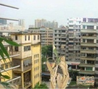 海珠东沙街小区实景图图片