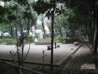 暨南花园实景图图片